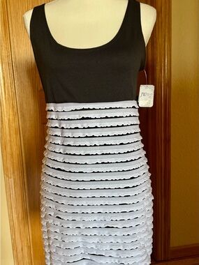 JW Black and White Layered Tank Dress